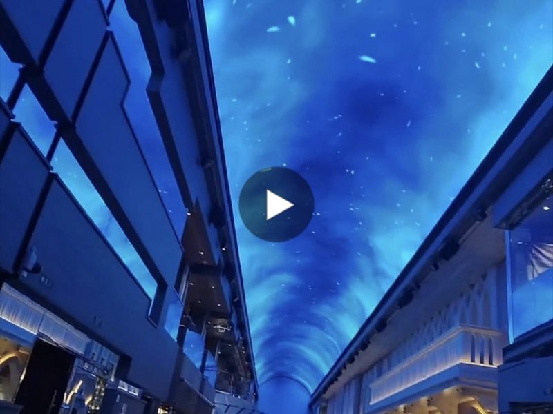 Visita MSC GRANDIOSA