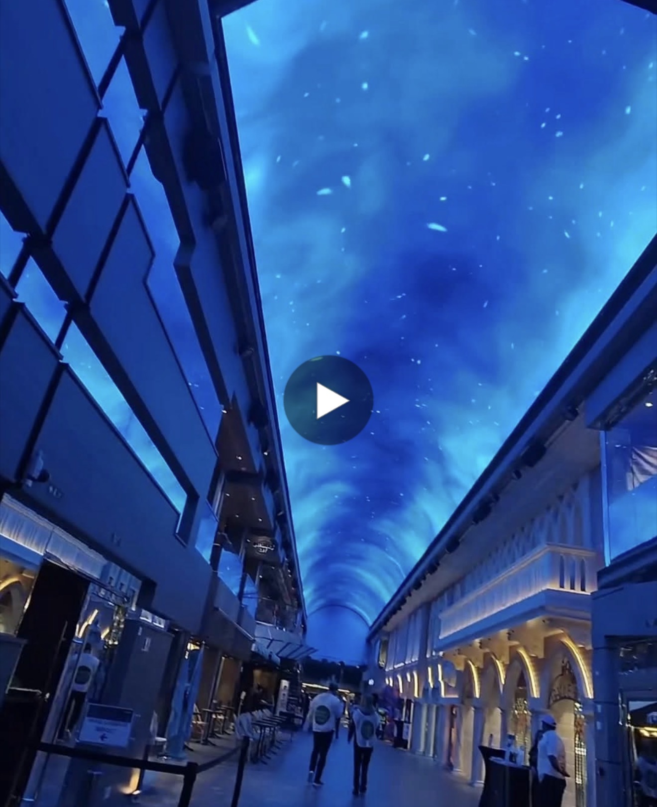 Visita MSC GRANDIOSA